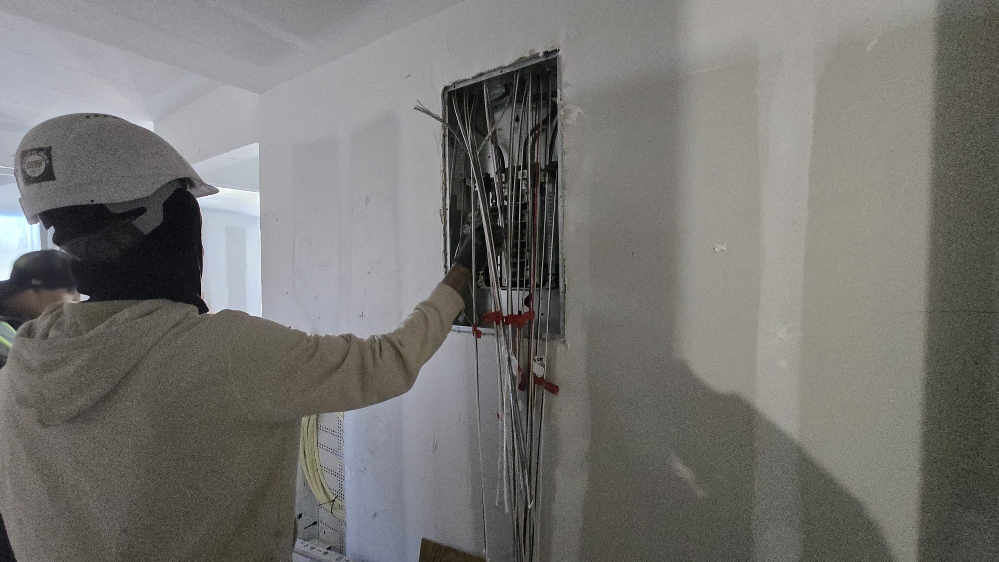 Inspector Reviewing Electrical Panel